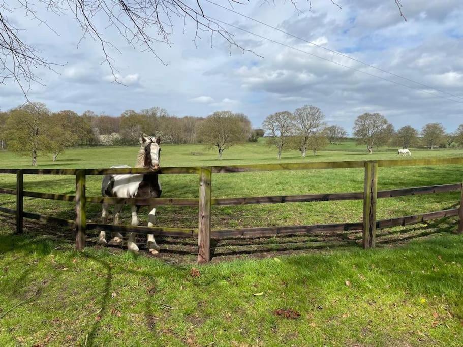 Jersey Cottage Horseheath ภายนอก รูปภาพ